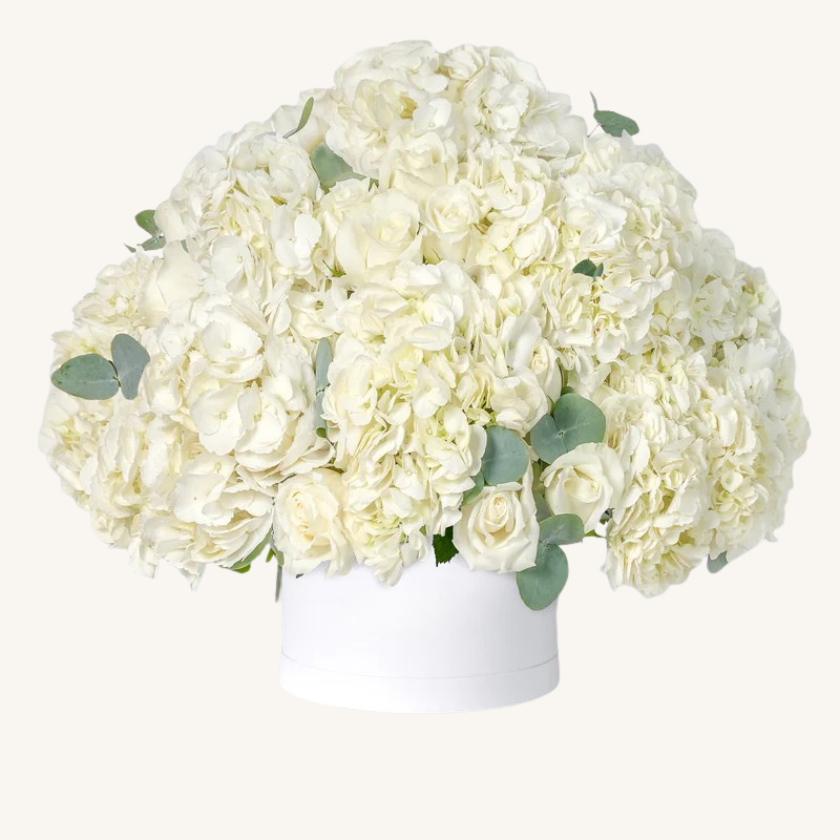 Baby Heavenly Whites Hatbox