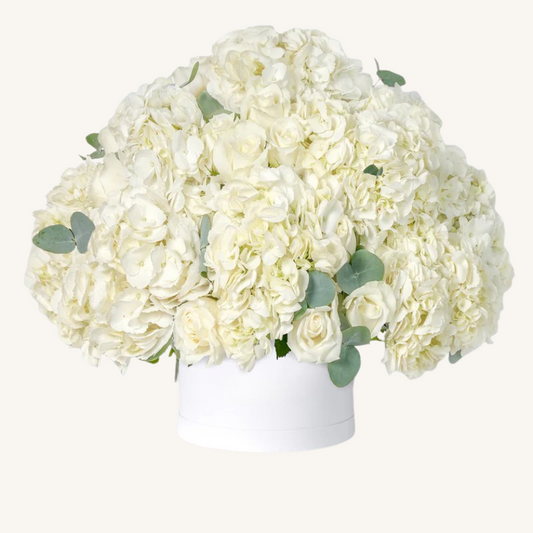 Baby Heavenly Whites Hatbox