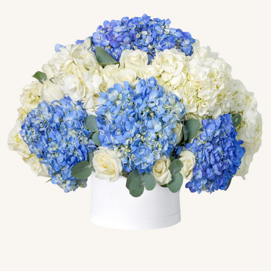 Baby Heavenly Blues Hatbox