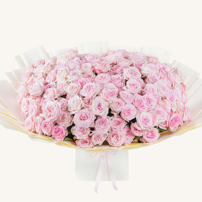 Anniversary 150 Pink O'hara Grand