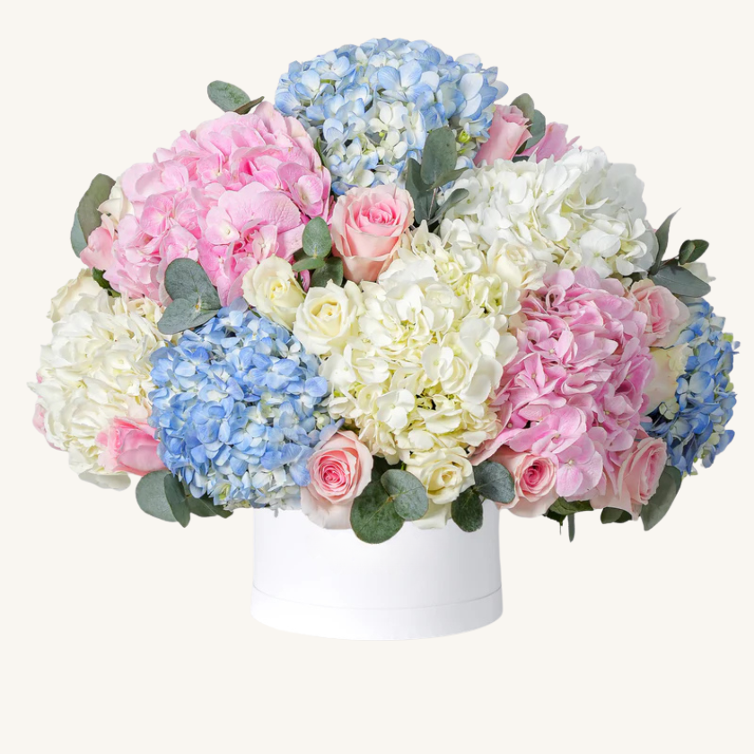 Baby Heavenly Mixed Hatbox