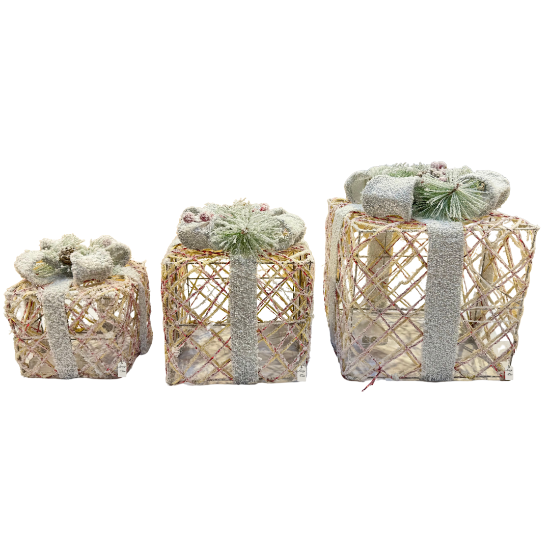 Icy Frost LED Gift Box Set