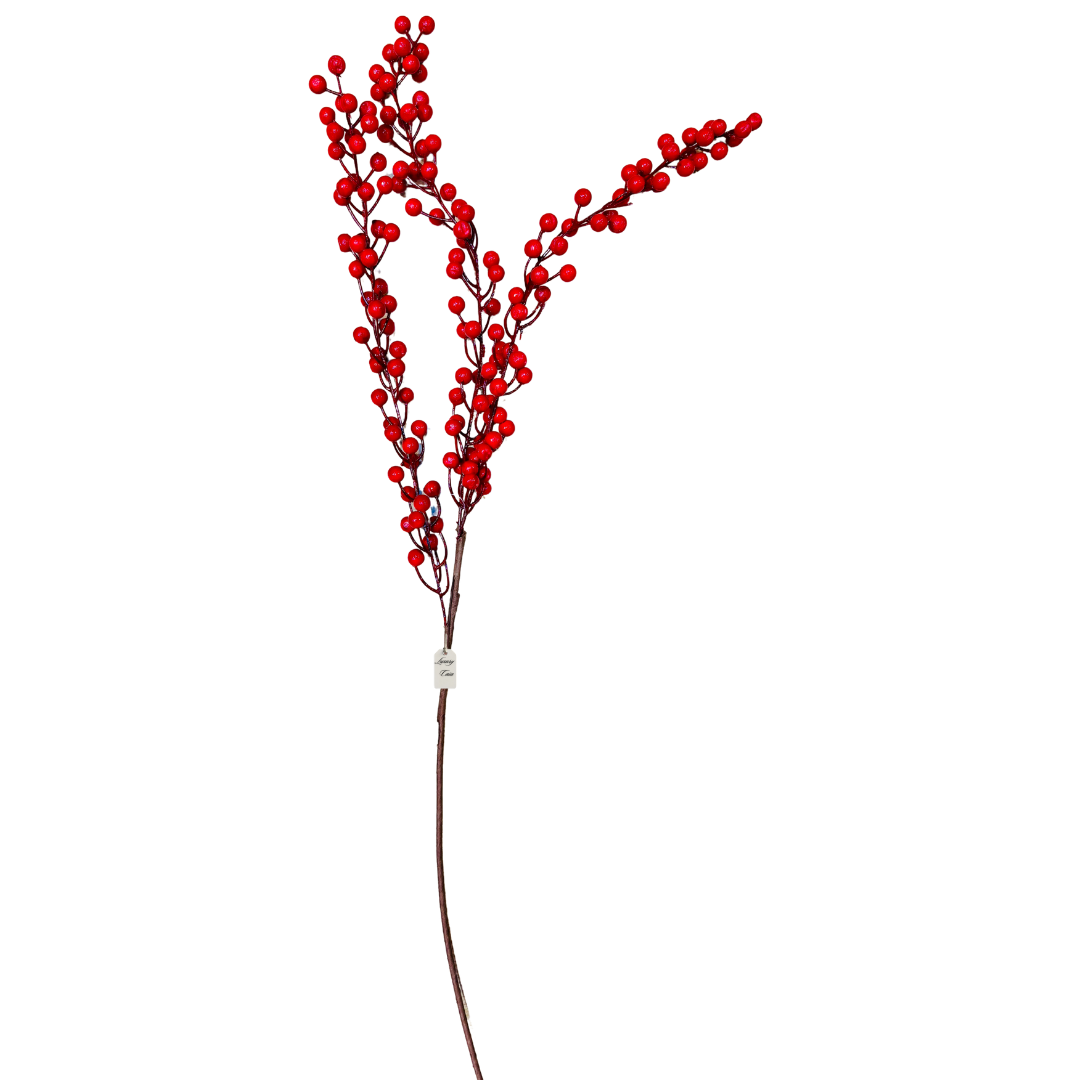 Red Berry Branch Stem