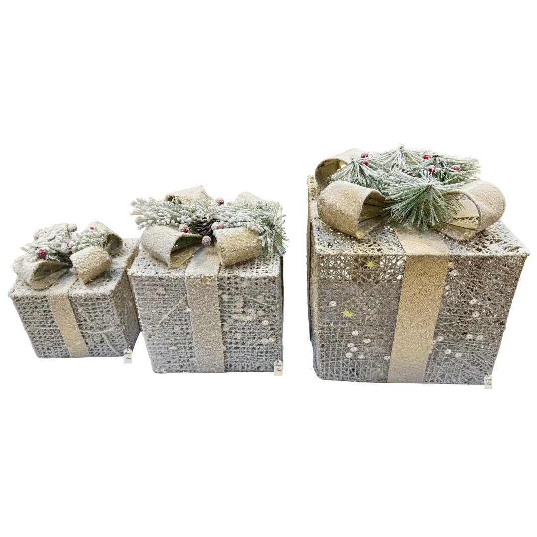 Frosted Pine LED Gift Box Set