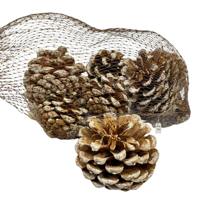 Frosted Pine Cones Pack