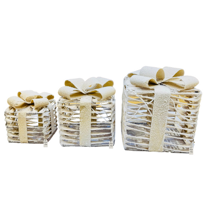 Silver Frost LED Gift Box Set