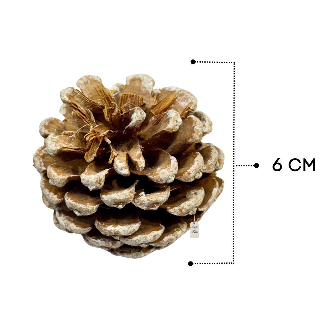 Frosted Pine Cones Pack