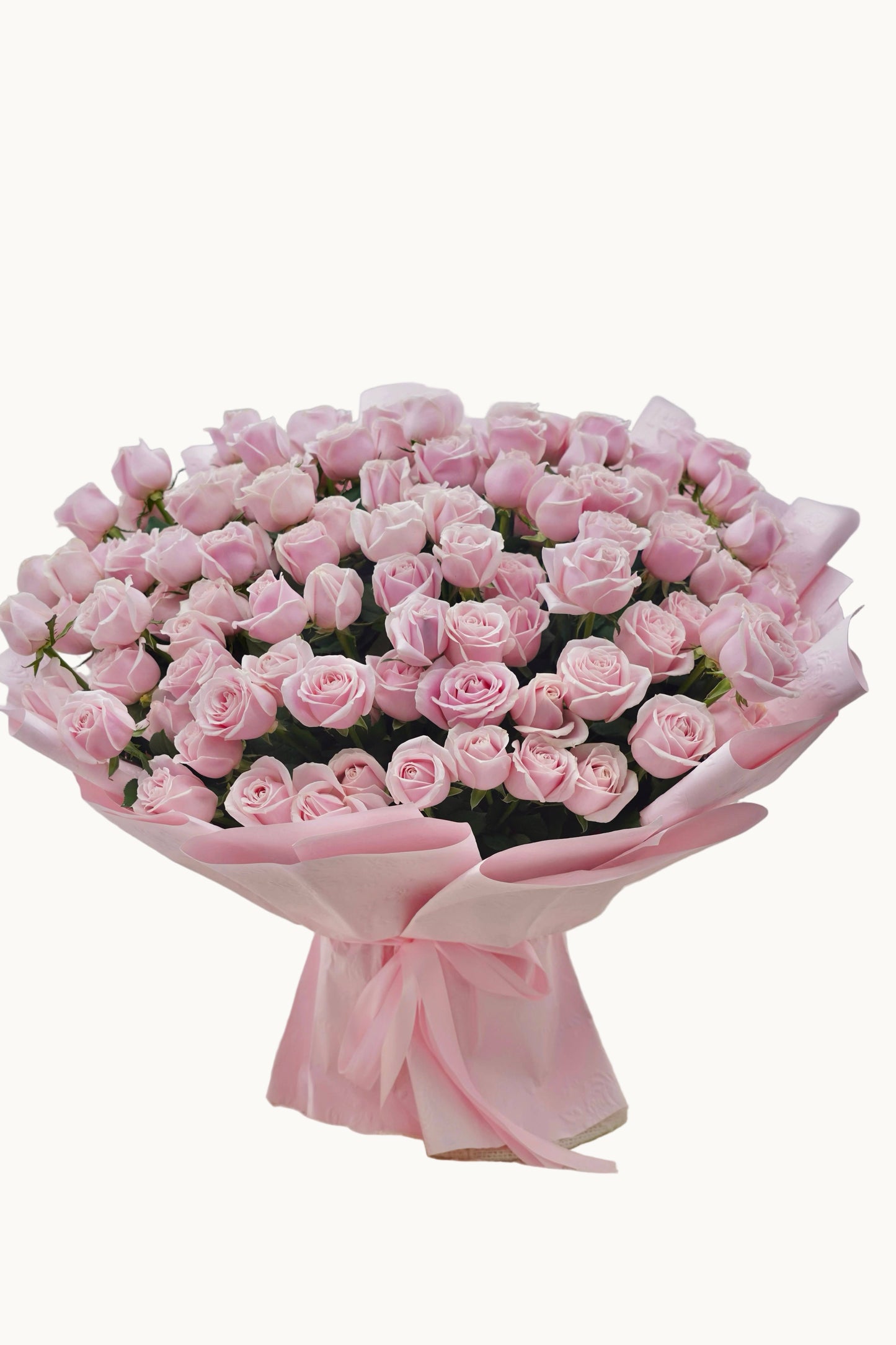 Pink Story |  Premium  Pink  Roses