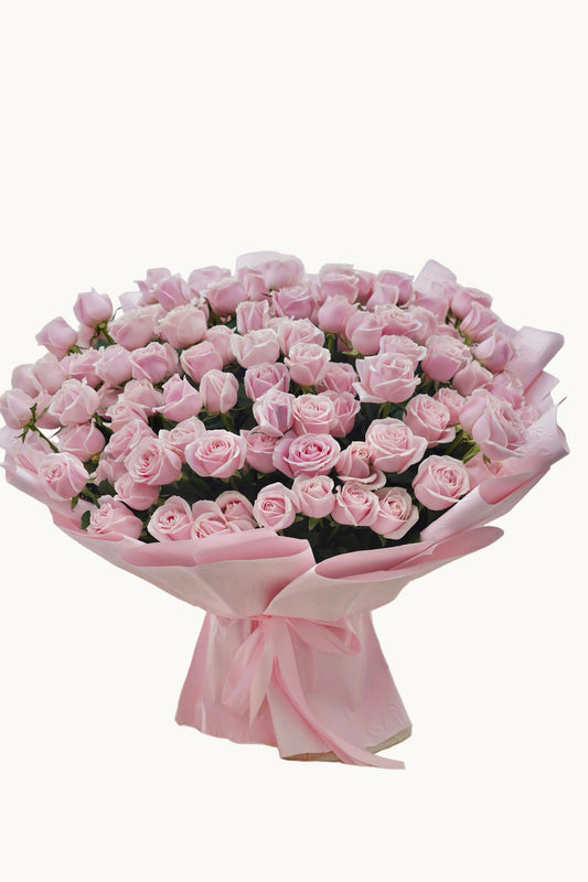 Pink Story |  Premium  Pink  Roses