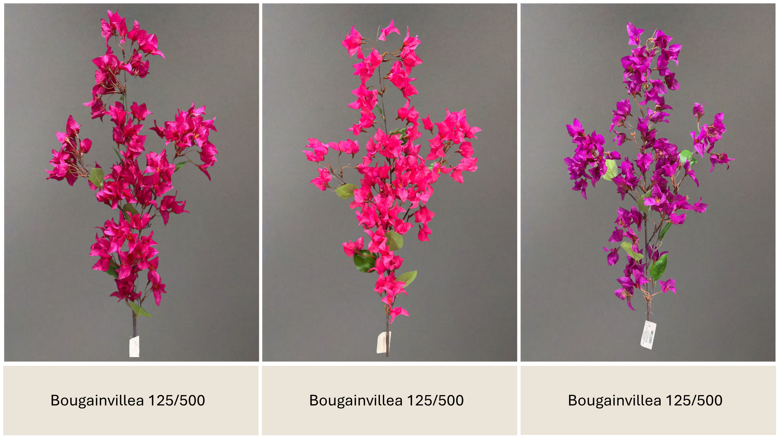 Selected Variant Image