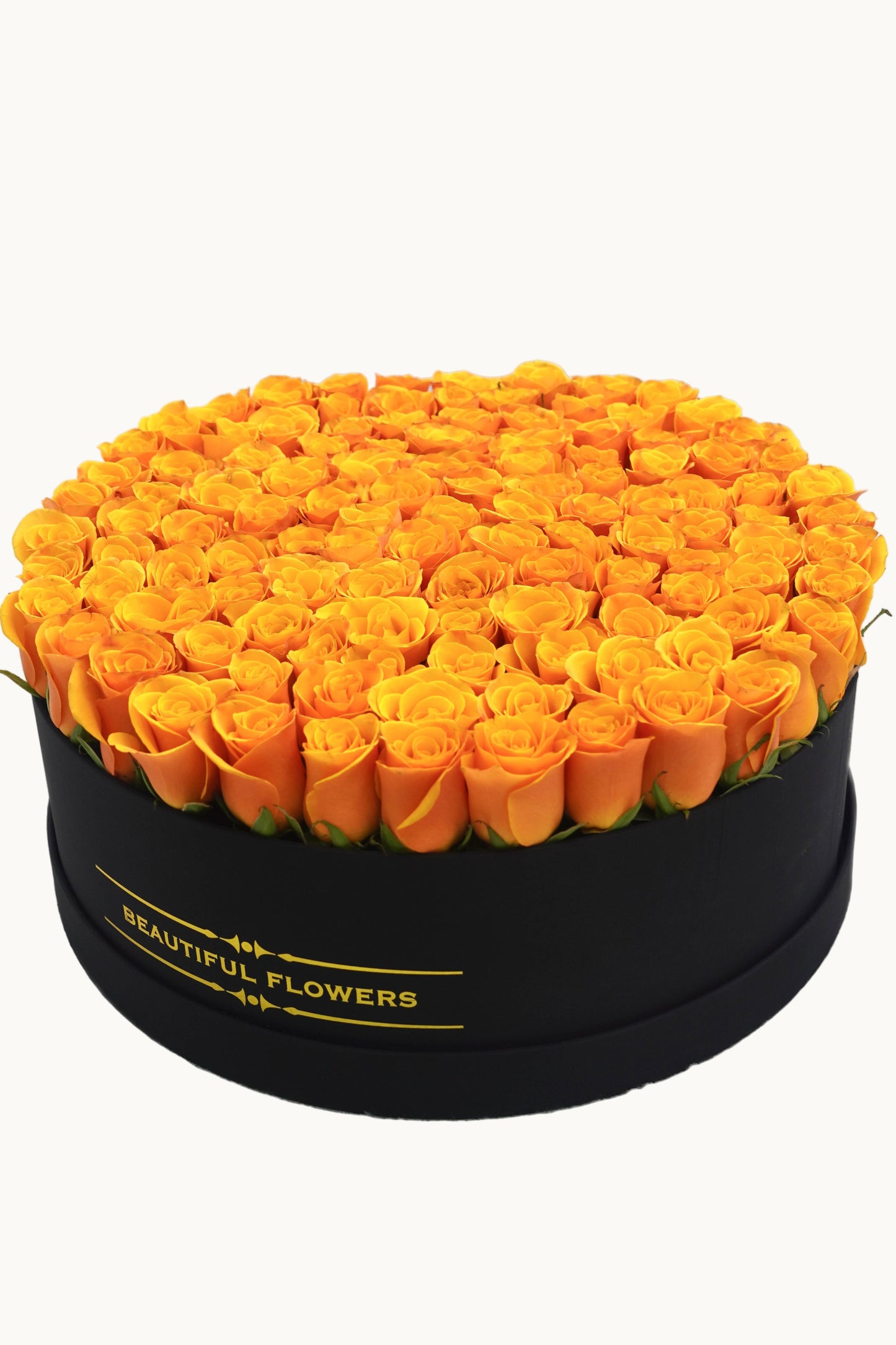 Morning Light |  Orange Roses