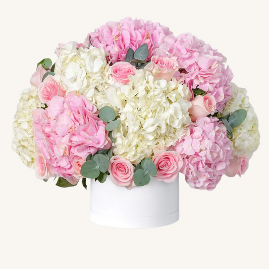 Baby Heavenly Pinks Hatbox