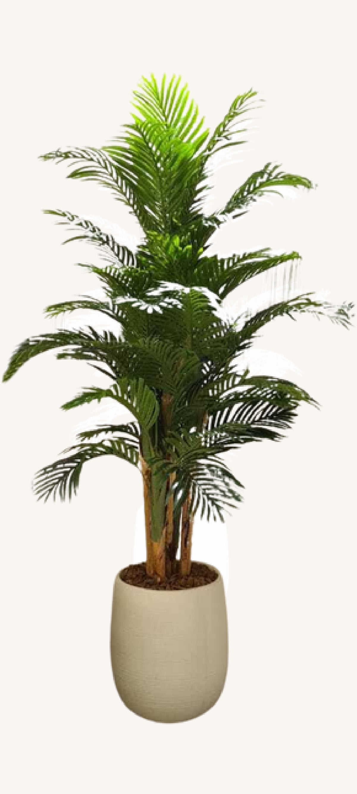 Artificial areca palm