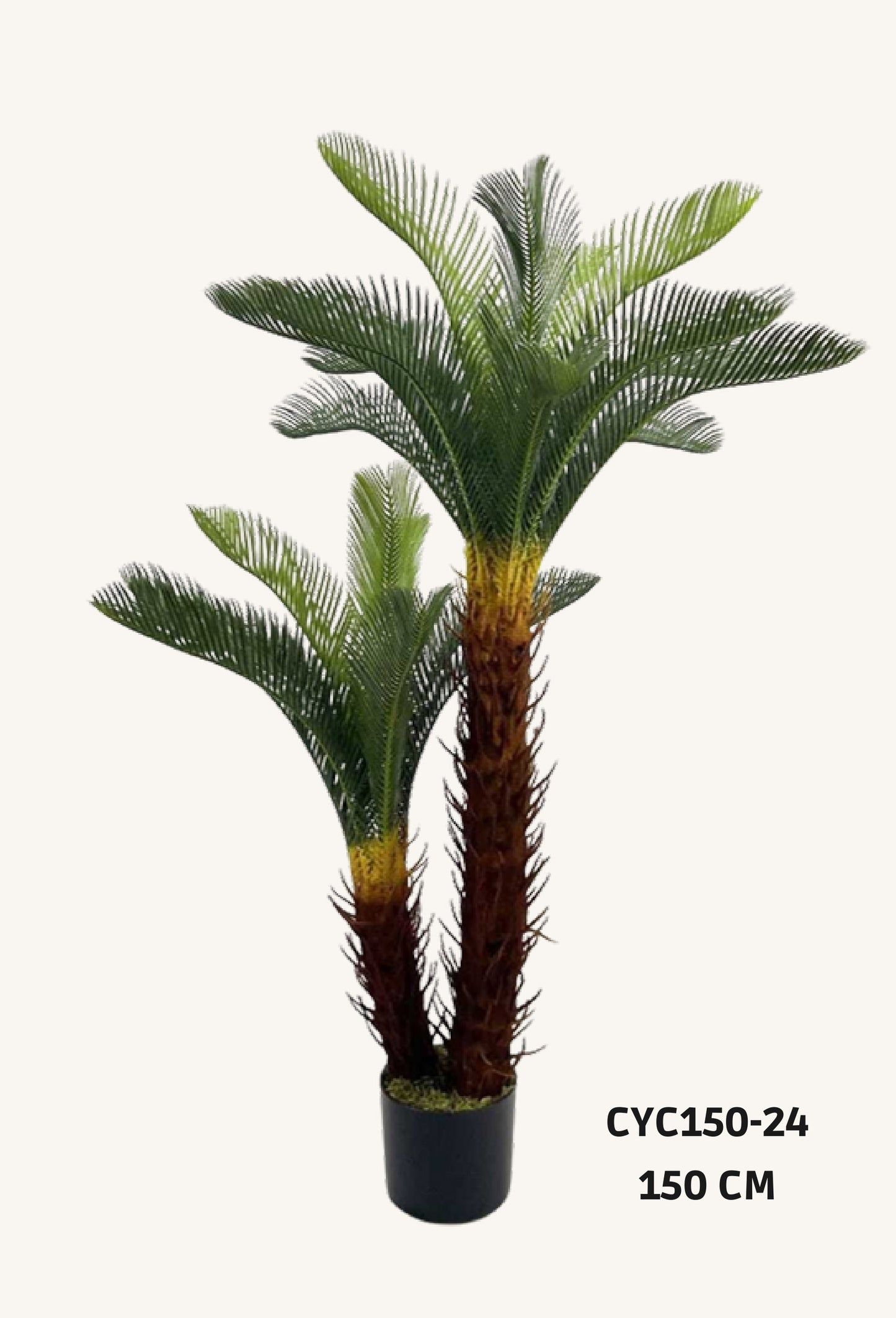 Artificial cycas