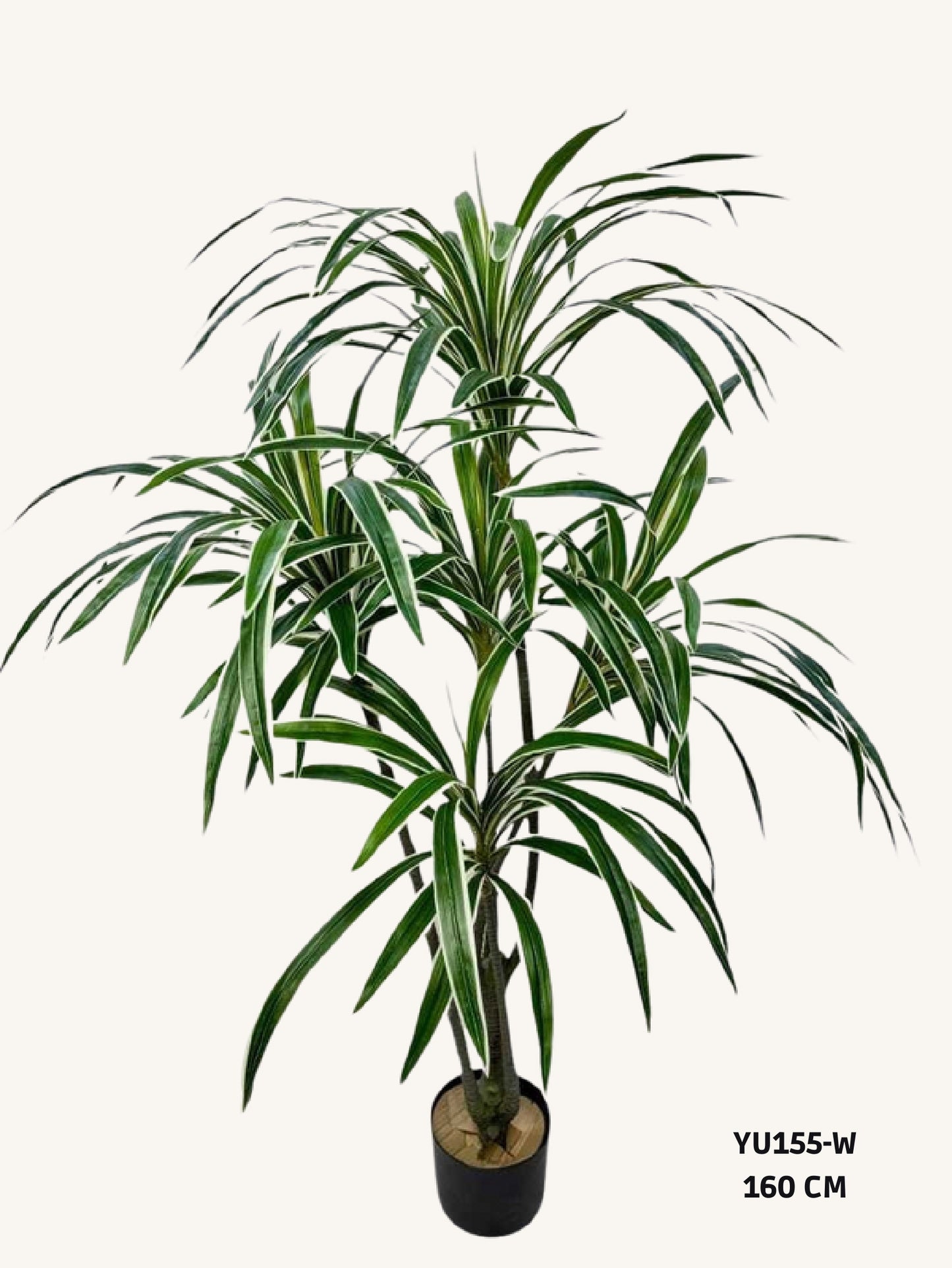 Artificial dracaena