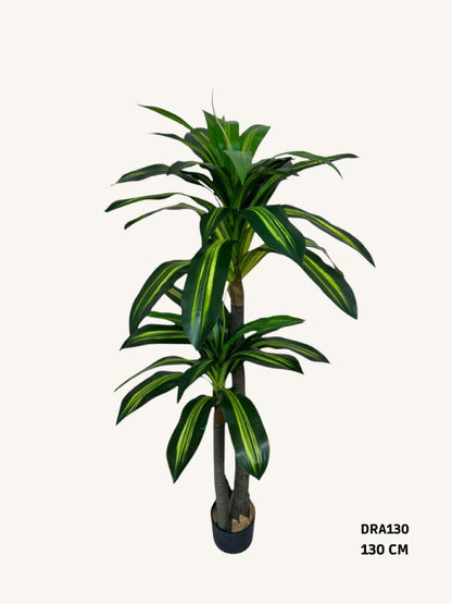 Artificial dracaena