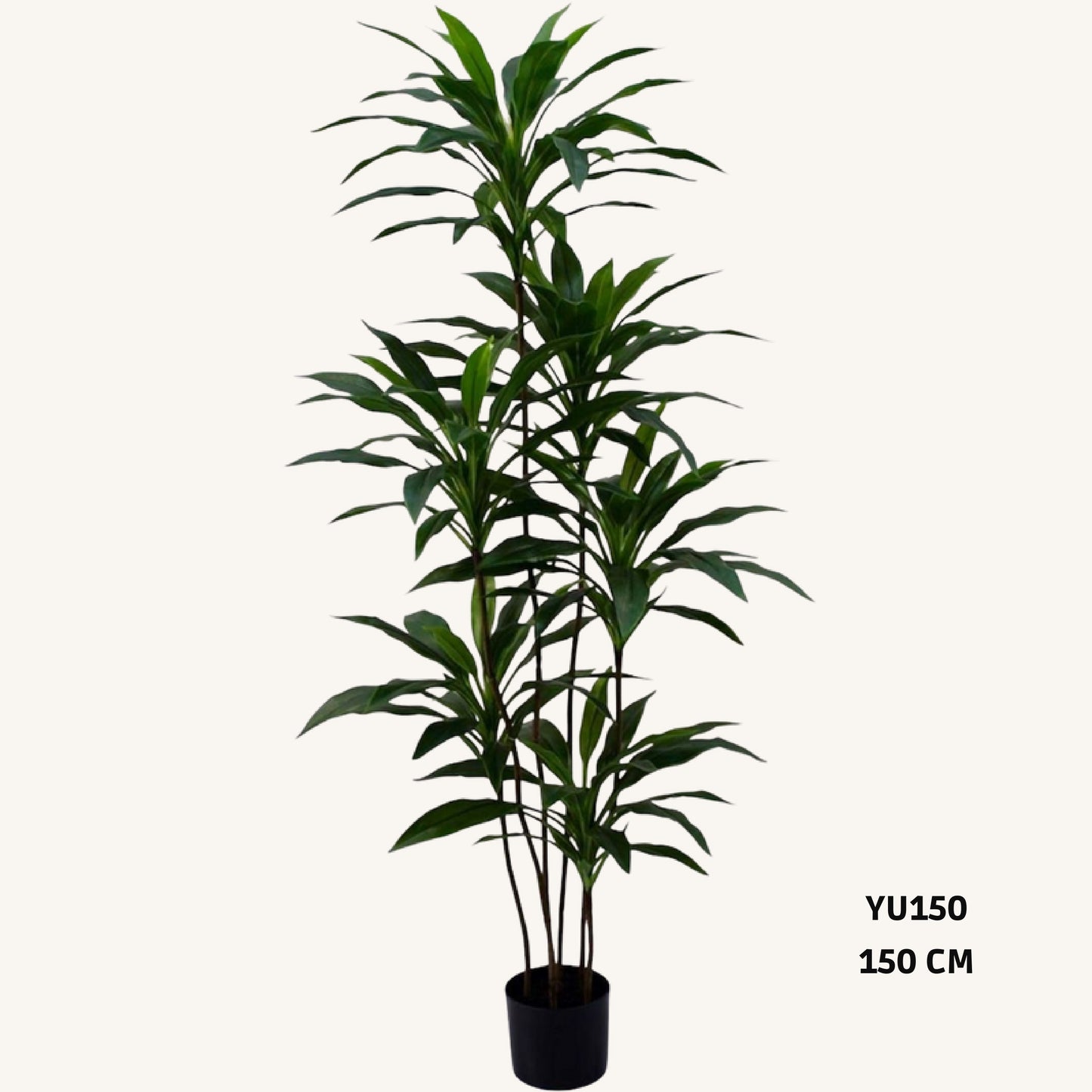 Artificial dracaena