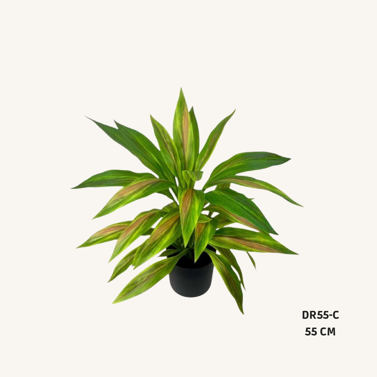 Artificial dracaena