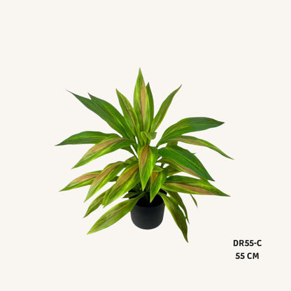 Artificial dracaena