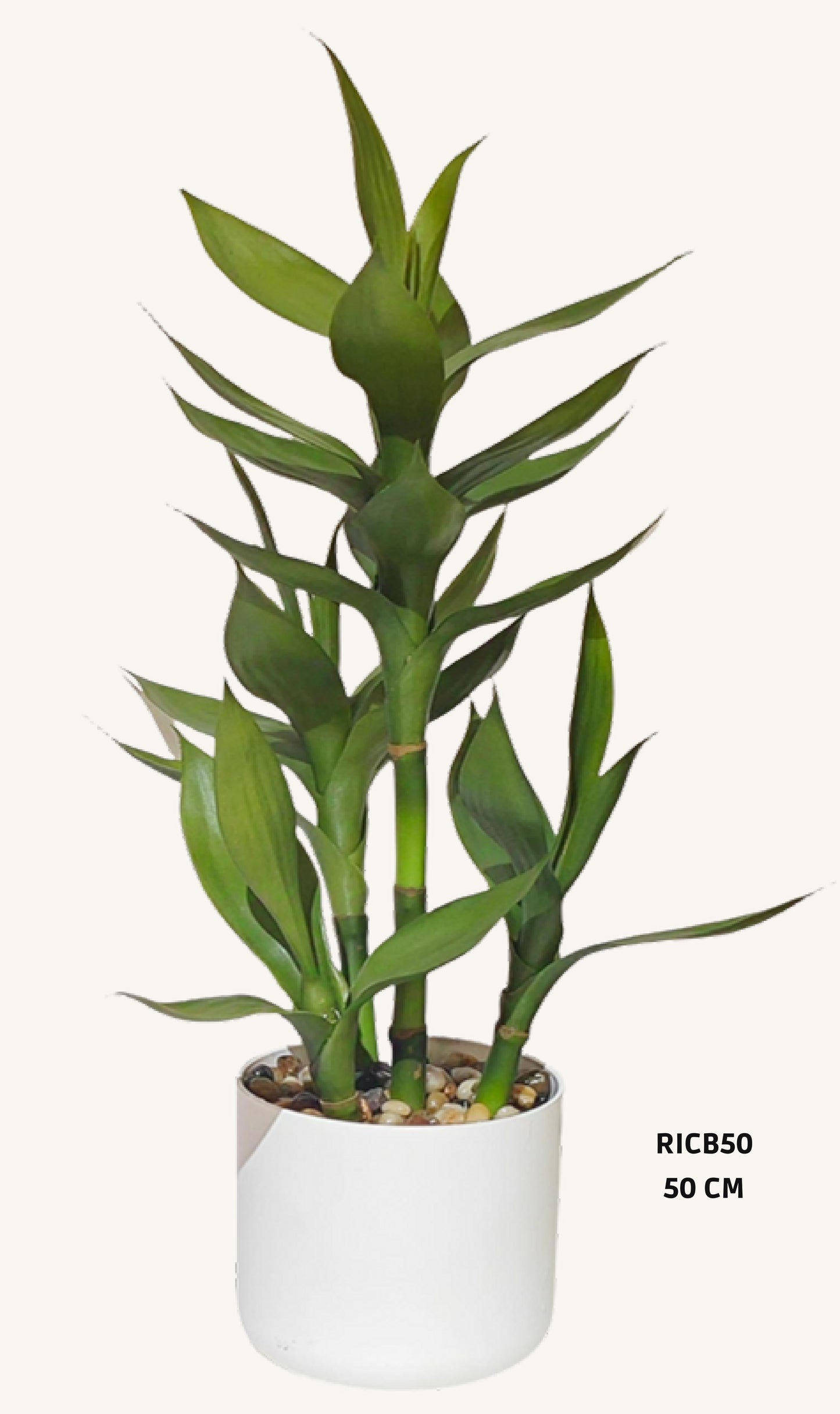 Artificial dracaena