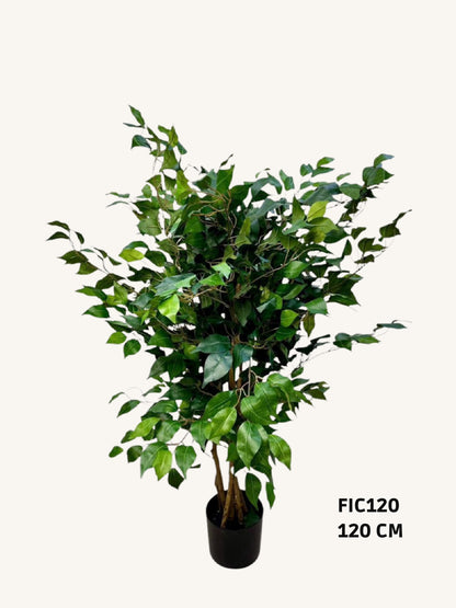 Artificial ficus