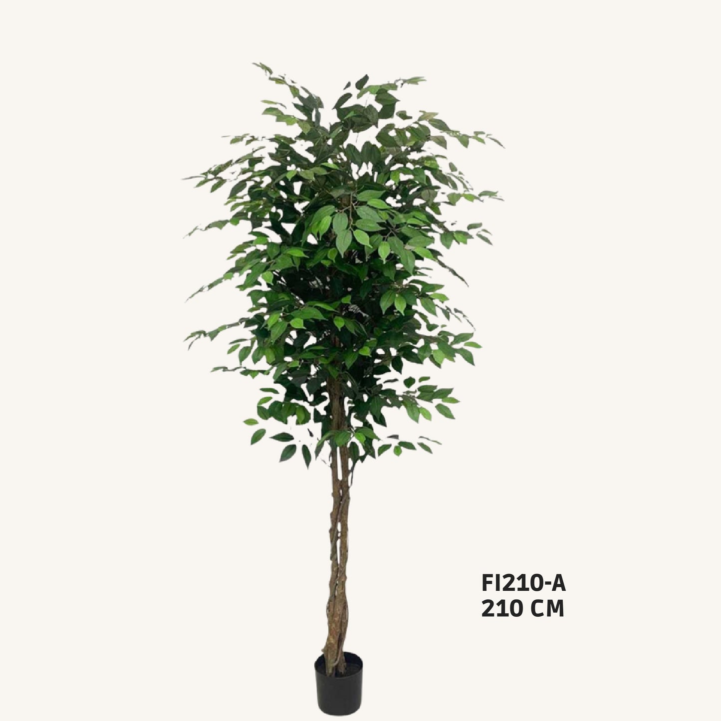 Artificial ficus