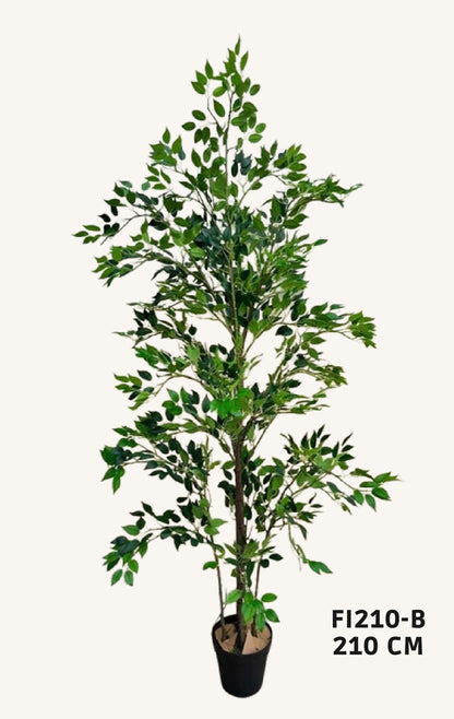 Artificial ficus