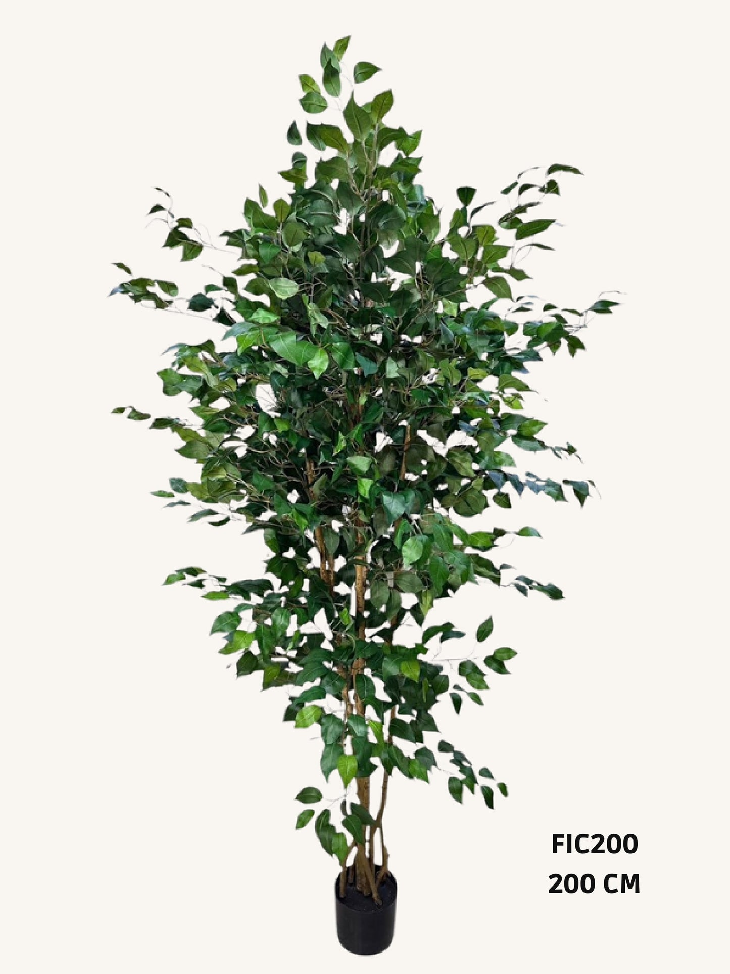 Artificial ficus