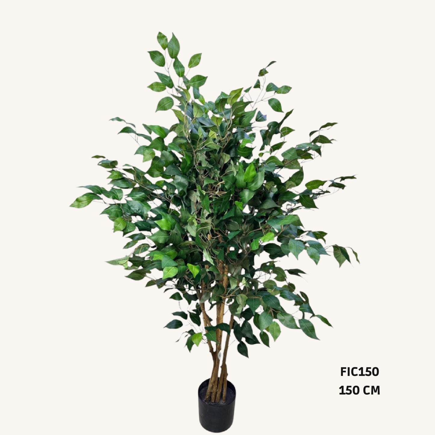 Artificial ficus