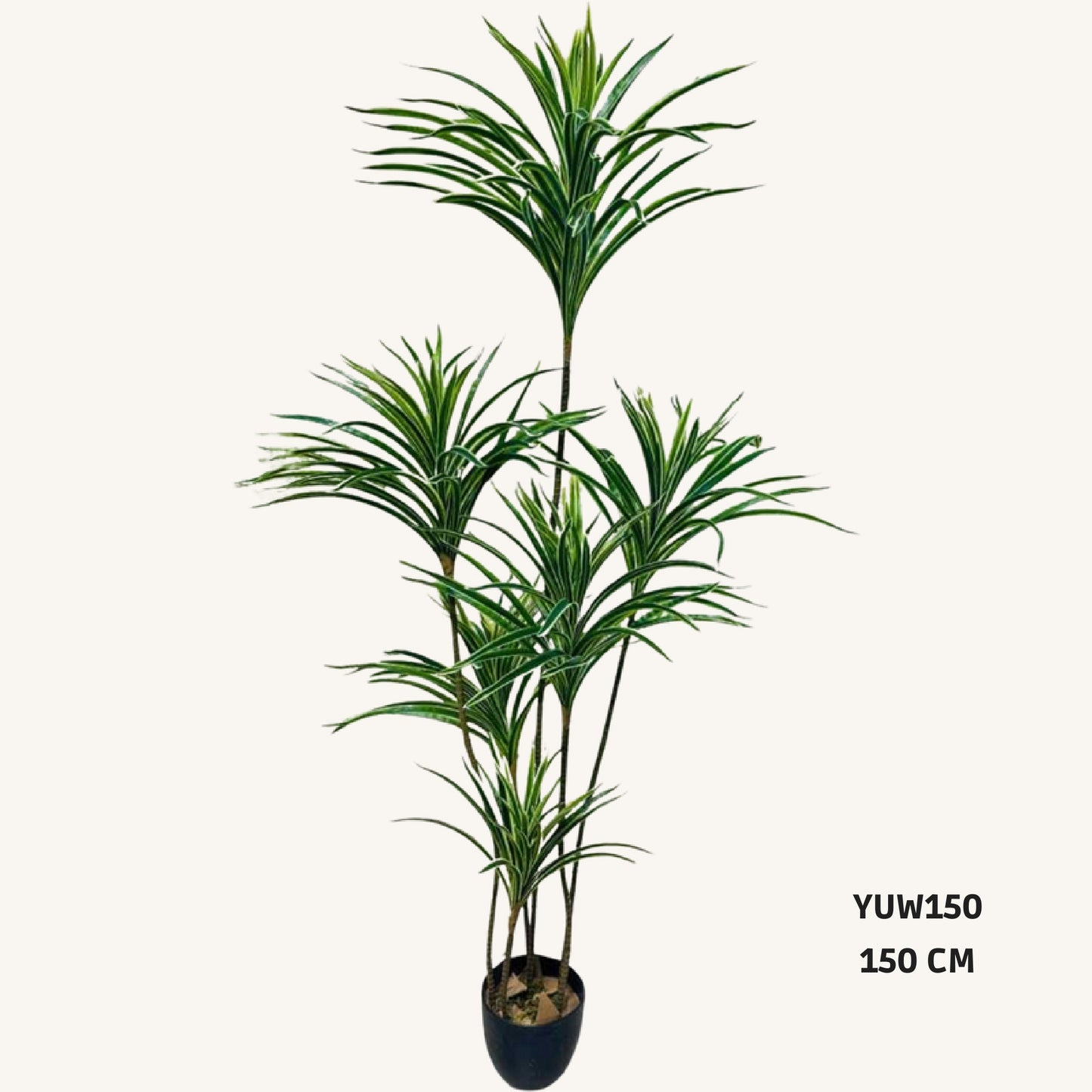 Artificial like dracena