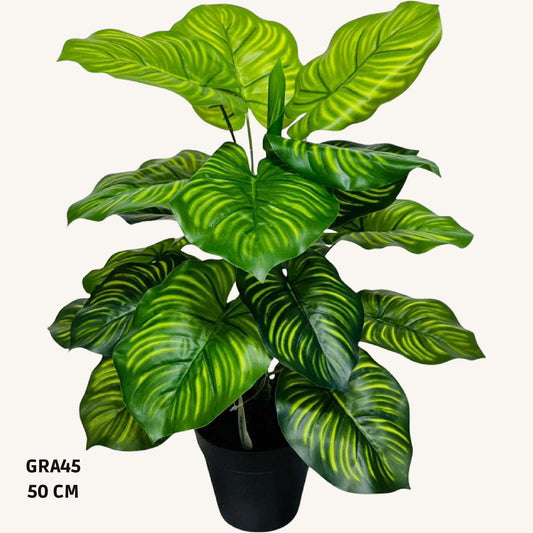 Artificial like dumb cane