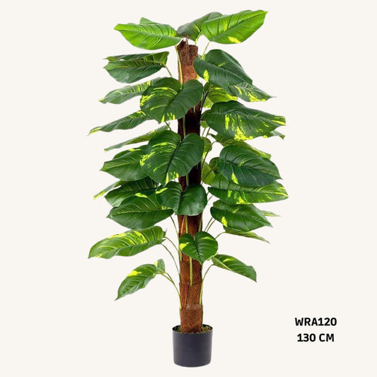 Artificial money plant