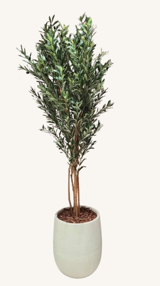 Artificial olive tree fiber pot