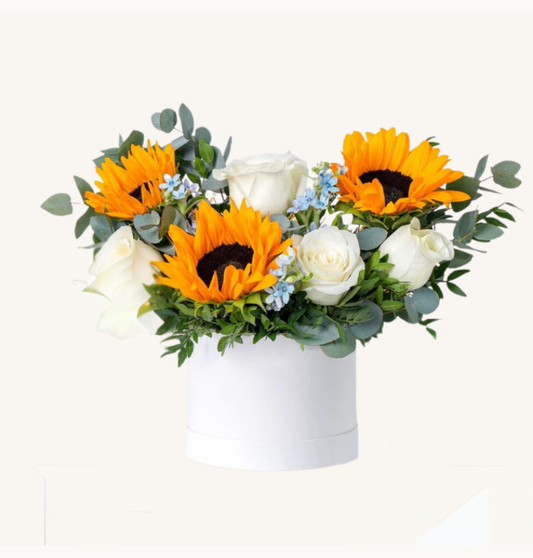 Baby Petite Skylight Hatbox