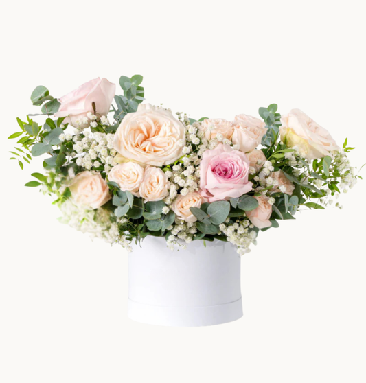 Baby Petite Pastel Hatbox