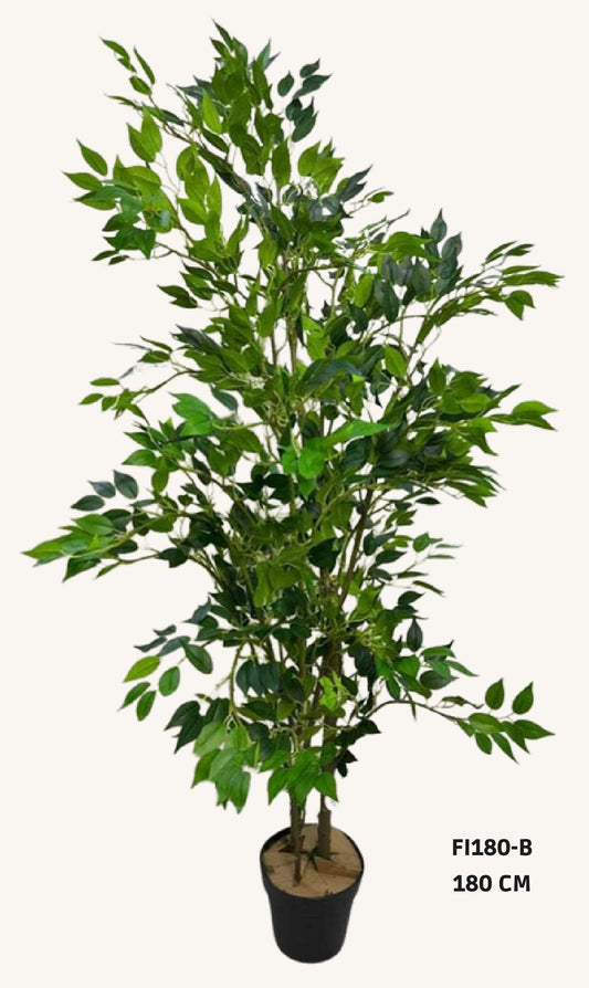 Artificial benjamin plant