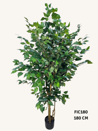 Artificial ficus