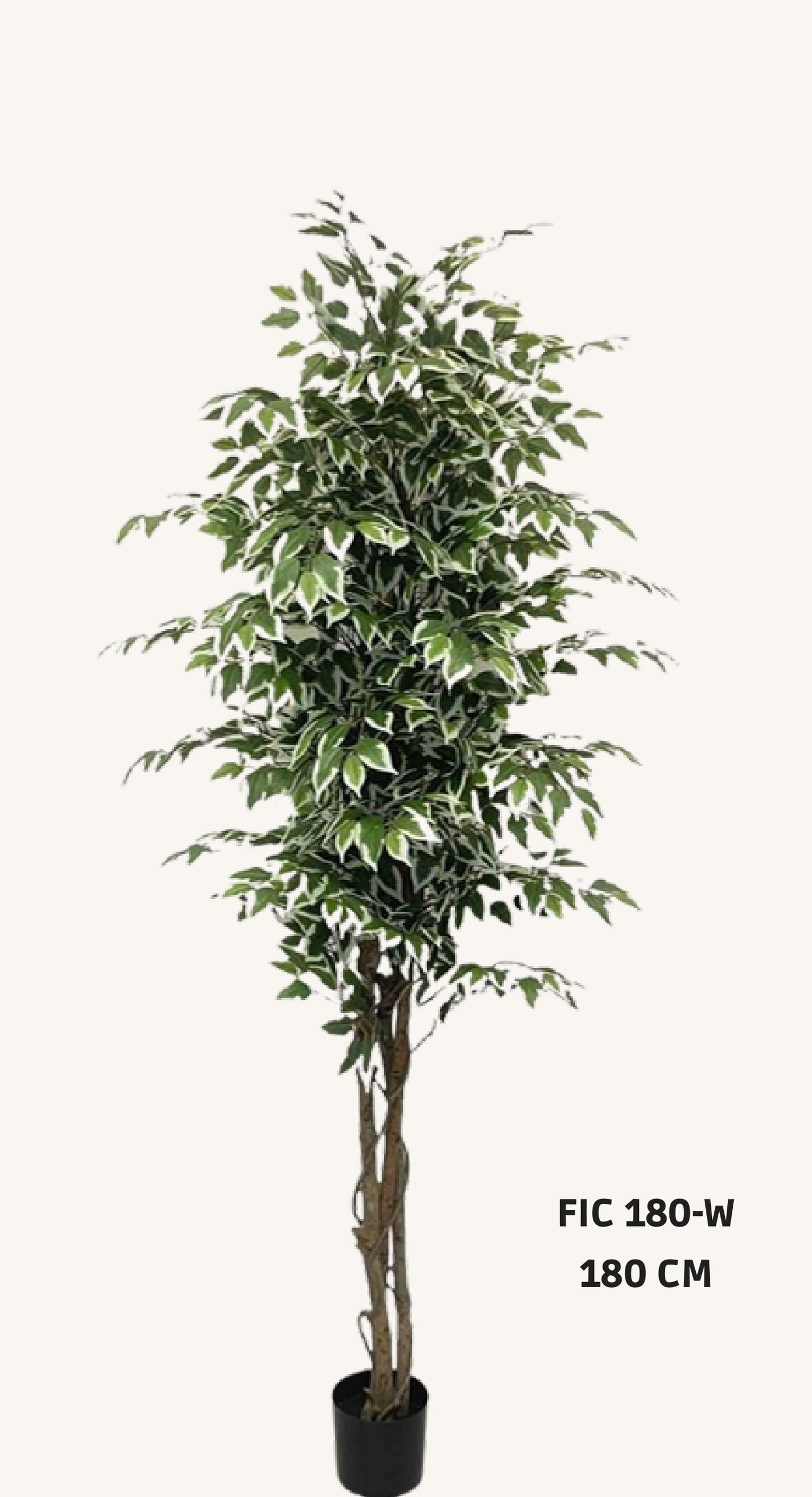 Artificial ficus
